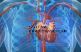 Valoración sistema cardiovascular en el niño