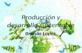 Producción y desarrollo sustentable 1
