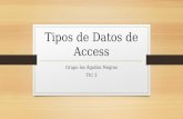 Tipos de-datos-de-access (1)