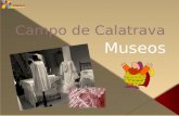 Museos Campo de Calatrava