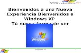 WINDOWS XP BY MAURICIO LACKINGTON