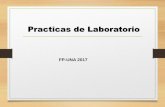01 practicas de laboratorio