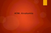 Anatomía de la ATM