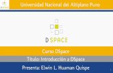 Introducción a DSpace - Universidad Nacional del Altiplano, Puno