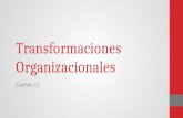 3. transformaciones organizacionales