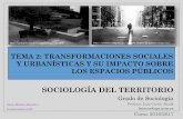 Tema 2. transformaciones sociales y urbanísticas y su impacto sobre los espacios públicos st 2017