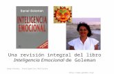 Inteligencia Emocional - Comunicación y Sinergias