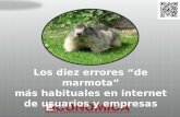 Los 10 errores 'de marmota' más habituales en Internet