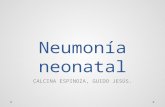 Neumonía neonatal