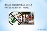 BASES CIENTIFICAS DE LA PREVENCION INTEGRAL