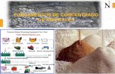 4. fundamentos-de-concentracion-de-minerales (2)