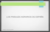 Bloque 7. Presentación: 3- Paisajes agrarios en España