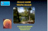 CELULAS MADRE Y MEDICINA REGENERATIVA     Dr. EDGAR MATOS BENAVIDES