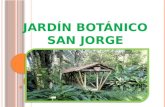 Jardín botánico san jorge