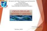Ciclo Celular. Mitosis y Meiosis