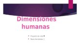 Dimensiones Humanas Presentacion
