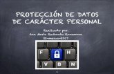 Presentación protección datos ana re