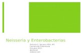 Curso de Microbiología - 14 - Neisseria y Enterobacterias