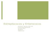 Curso de Microbiología - 12 - Estreptococos y Enterococos