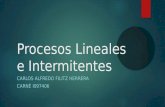 Procesos lineales e intermitentes