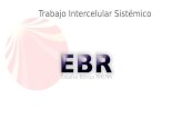 Trabajo intercelular ebr