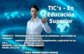 TICs  en educacion superior