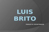 Luis brito Analisis de Composicion