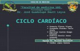 Ciclo cardiaco fisiología