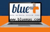 Blue+ Honduras