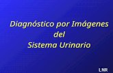 Diagnostico por imagenes en urologia