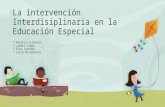 La intervención-interdisiplinaria-en-la-educación-especial (1)