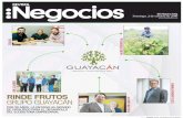 10 2 Negocios - Rinde Frutos Grupo Guayacan