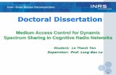 PhD dissertation presentation