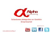 Presentación alpha consulting 2015
