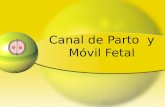 Diapositiva canal de parto y movil fetal