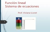 Función lineal, sistema de ecuaciones