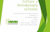 Cultura y cultura antropológica