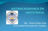 Antimicrobianos Nancy