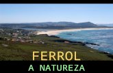 Comarca Ferrol