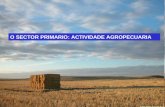 O medio rural e as actividades agropecuarias en España
