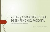 Componentes y áreas del desempeño ocupacional