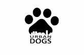 Urban Dogs