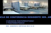 Conferencia sobre cuidados postanestesico y postoperatorio