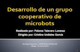 Desarrollo de un grupo cooperativo de robots (Paloma Talavero)