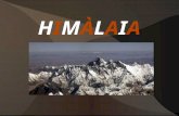 Himàlaia aniol 2016
