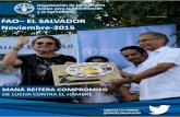 Boletín FAO El Salvador