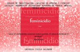 ENSAYO DE INVESTIGACIÓN FEMINICIDIO