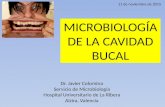 Microbiología de la Cavidad Bucal (por Javier Colomina)