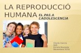 La reproducció humana, Gisela, Roureda