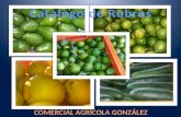 Catalogo de Rubros - Comercial Agrícola González